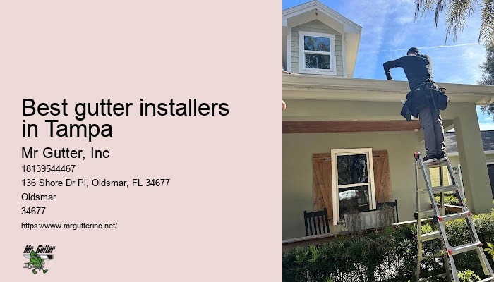 Best gutter installers in Tampa gutter system installation reviews