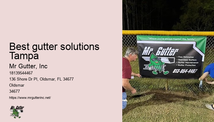 Gutter design and installation Best gutter solutions Tampa