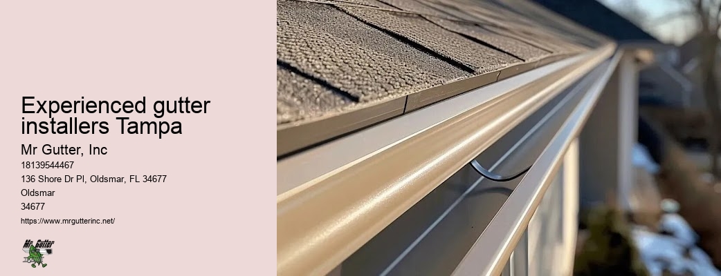 Effective gutter installation Experienced gutter installers Tampa
