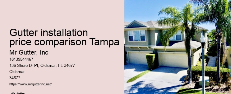 Gutter installation for retail buildings Gutter installation price comparison Tampa