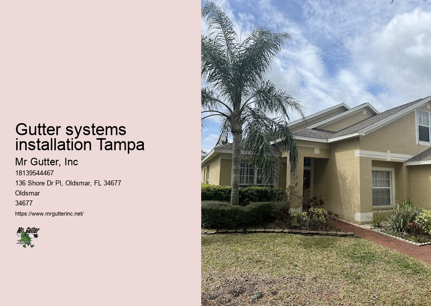 Leaf guard installation Gutter systems installation Tampa
