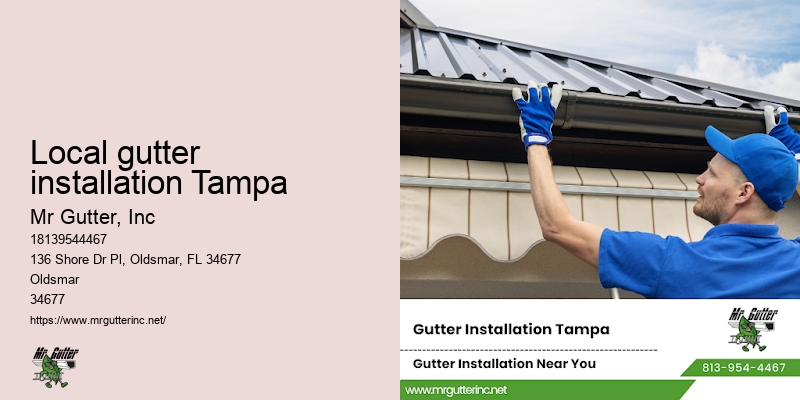 Top gutter installation Local gutter installation Tampa