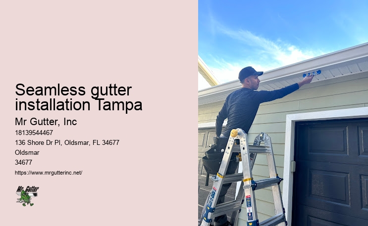 Efficient gutter installation Seamless gutter installation Tampa