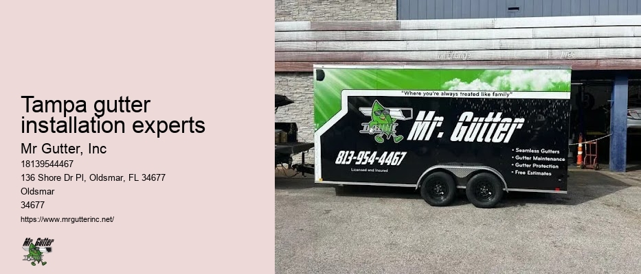Tampa gutter installation experts