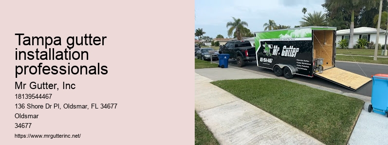 Modern gutter installation Tampa gutter installation professionals