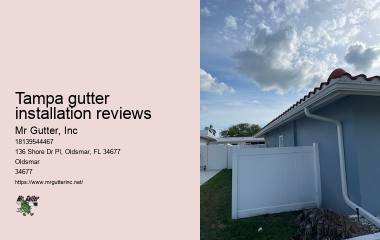 Reliable gutter repair Tampa gutter installation reviews