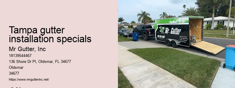 Tampa gutter installation specials seamless gutter installers