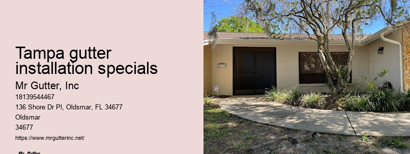 Tampa gutter installation specials gutter installation experts near me