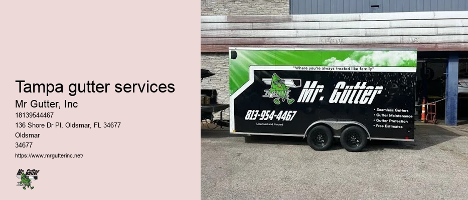 Tampa gutter services