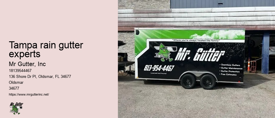 Tampa rain gutter experts