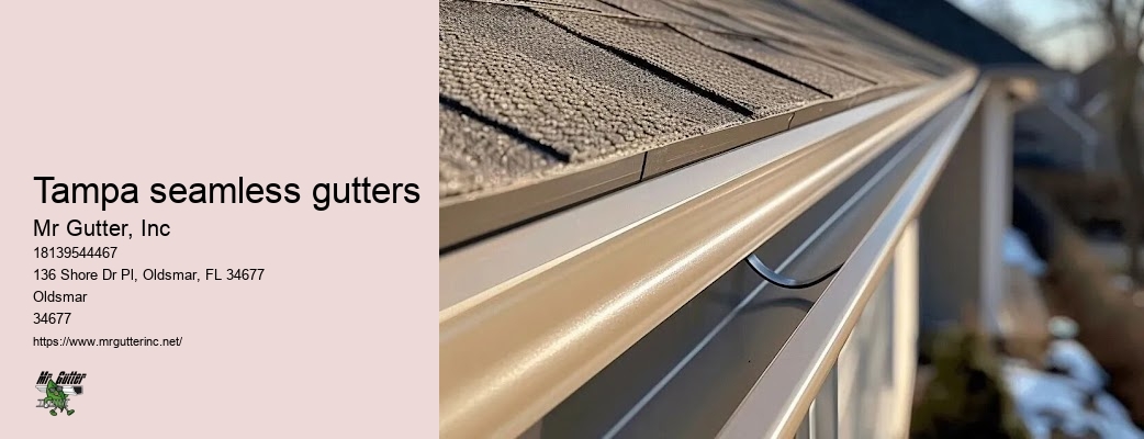 Local gutter installation Tampa seamless gutters