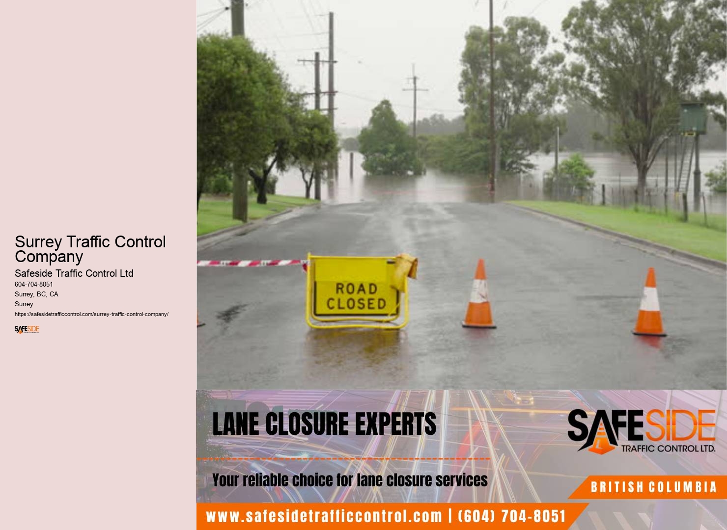 Surrey traffic control software